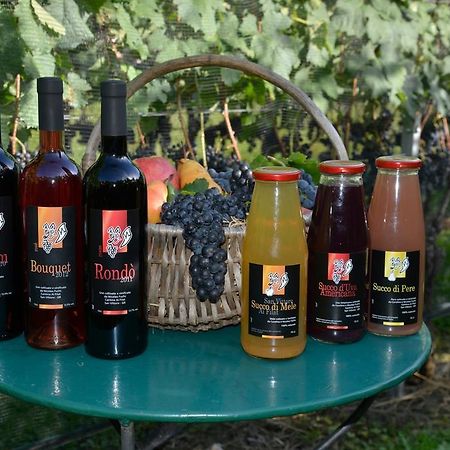 Grono Bed And Breakfast Da Kaethy Agriturismo المظهر الخارجي الصورة
