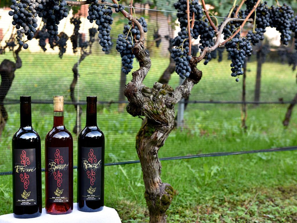 Grono Bed And Breakfast Da Kaethy Agriturismo المظهر الخارجي الصورة
