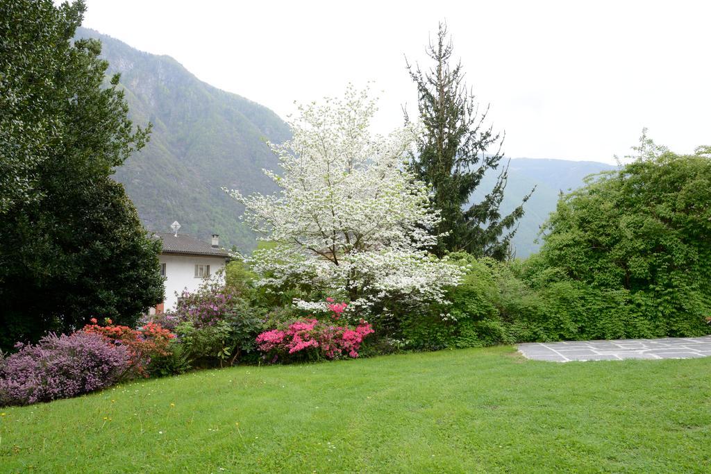 Grono Bed And Breakfast Da Kaethy Agriturismo الغرفة الصورة