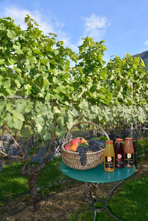 Grono Bed And Breakfast Da Kaethy Agriturismo المظهر الخارجي الصورة